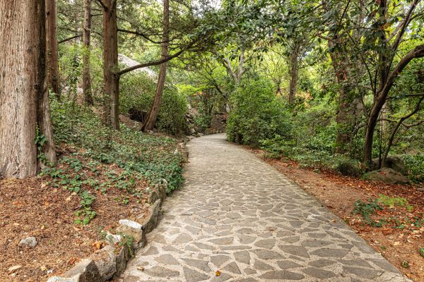 Stone Walkway Repair in Chesterfield