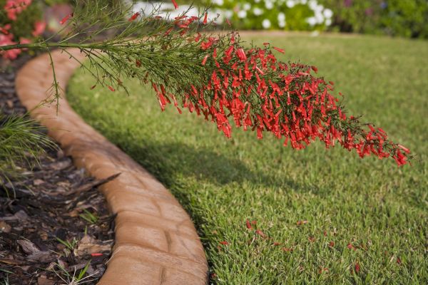 Brick Edging in Chesterfield