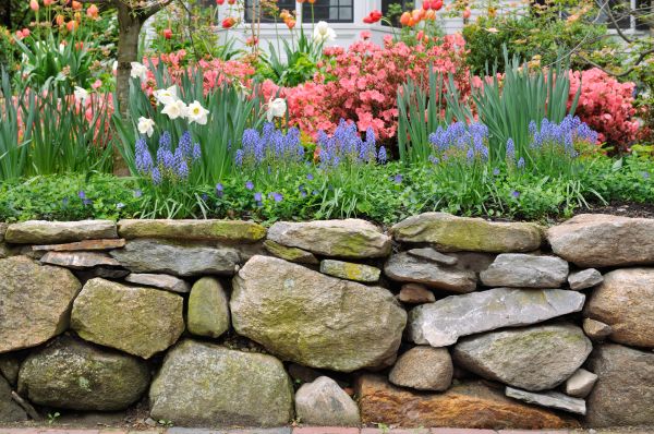 Stone Wall Hardscaping in Chesterfield