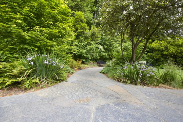 Stone Hardscape Service in Chesterfield
